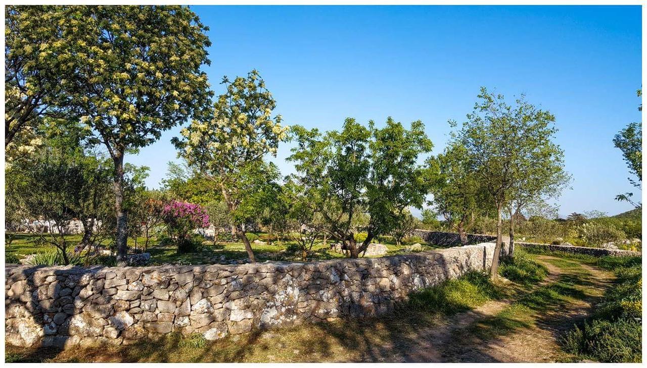 Holiday home Kike&Mara Drniš Dış mekan fotoğraf